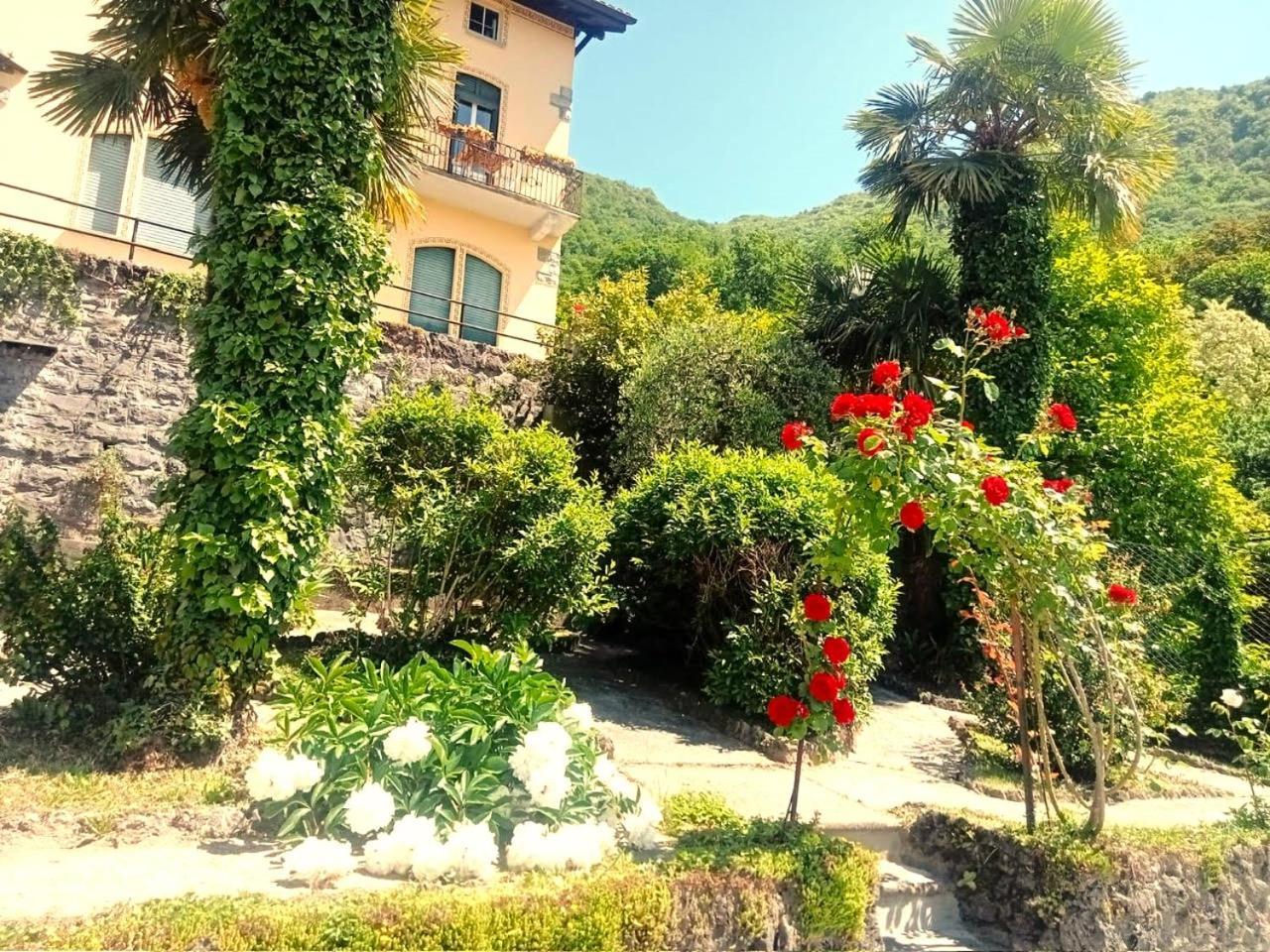 Villa Silvana Перледо Экстерьер фото